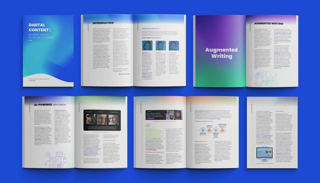 Rapport Digital Content 2023 par Marie Dollé, Quentin Franque et Benoît Zante