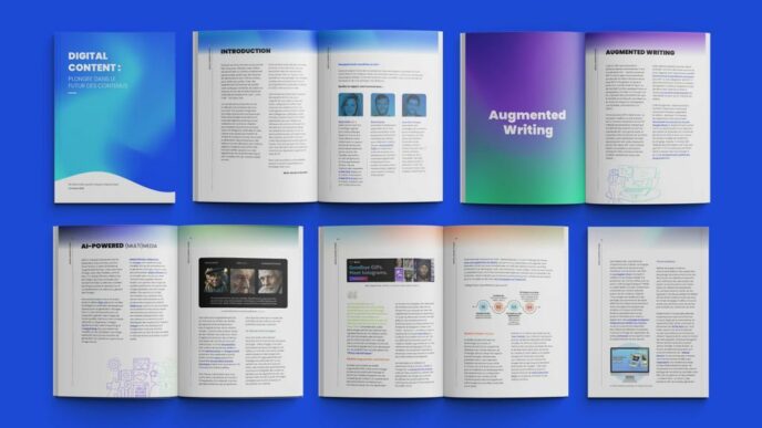 Rapport Digital Content 2023 par Marie Dollé, Quentin Franque et Benoît Zante