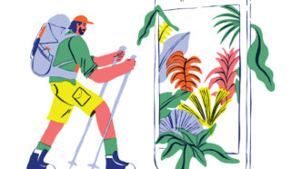 Mediahuis essential subscription