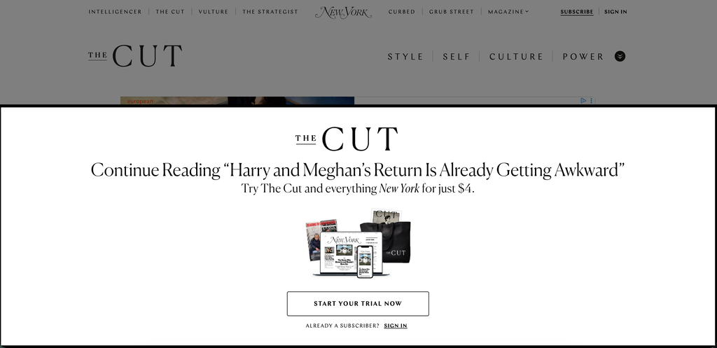 The Cut paywall